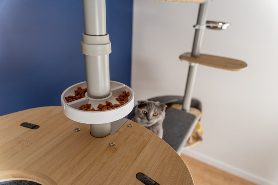 En katt tittar på mat i katträdet Freestyle från Omlet