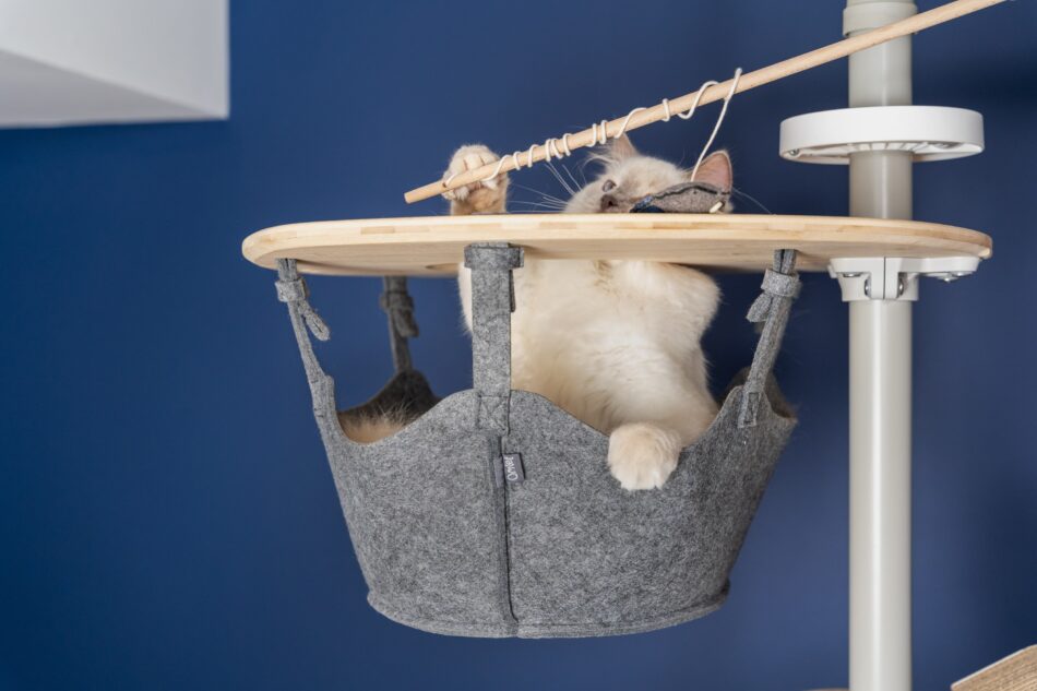 En vit katt sitter i katträdet Freestyle och leker med en kattleksak från Omlet som innehåller kattmynta