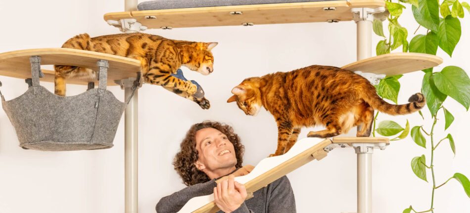 En man med två katter på katträdet Freestyle för inomhusbruk från Omlet