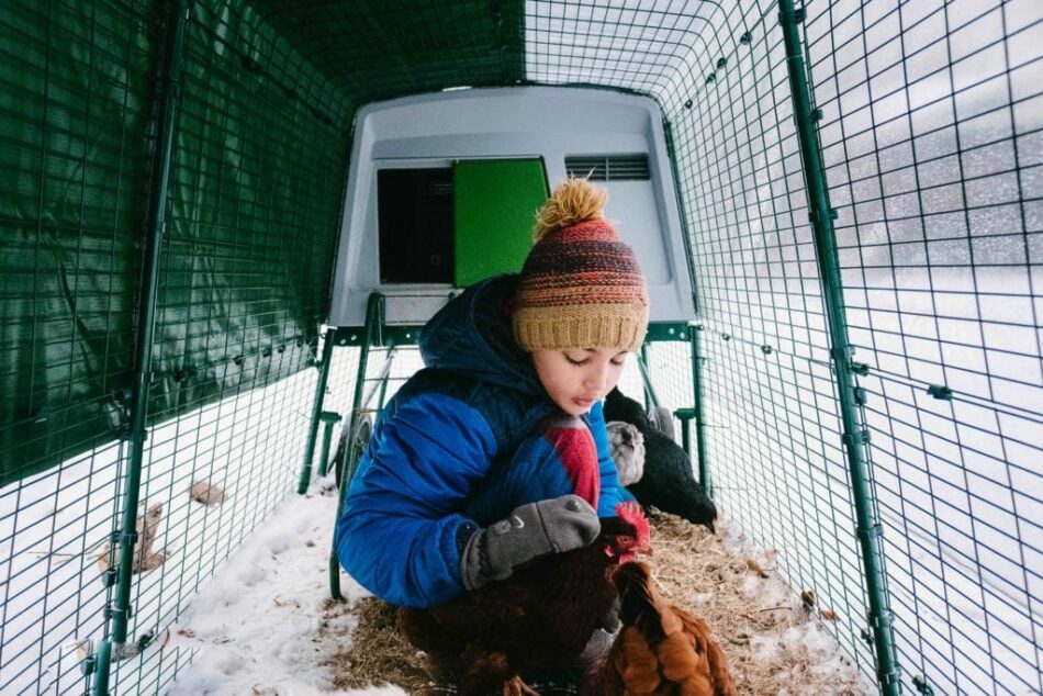 En pojke med sina höns i ett snöigt Eglu hönshus 