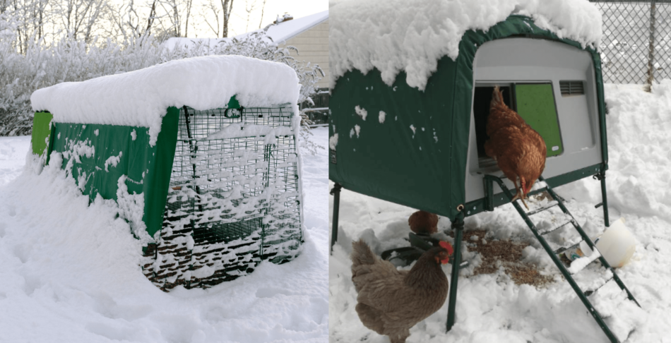 Kollage som visar Eglu-hönshus från Omlet täckta i snö
