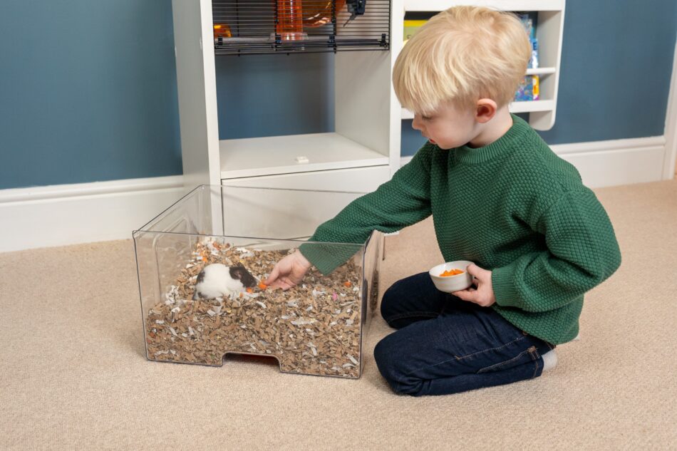 En pojke leker med en hamster och hamsterburen Qute från Omlet är i bakgrunden 