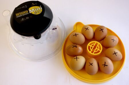 Startpaketet Brinsea Mini ll Eco med äggkläckningsmaskin
