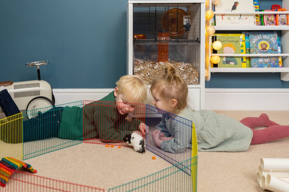 Två barn tittar på en hamster som leker i en lekhage och hamsterburen Qute från Omlet står i bakgrunden