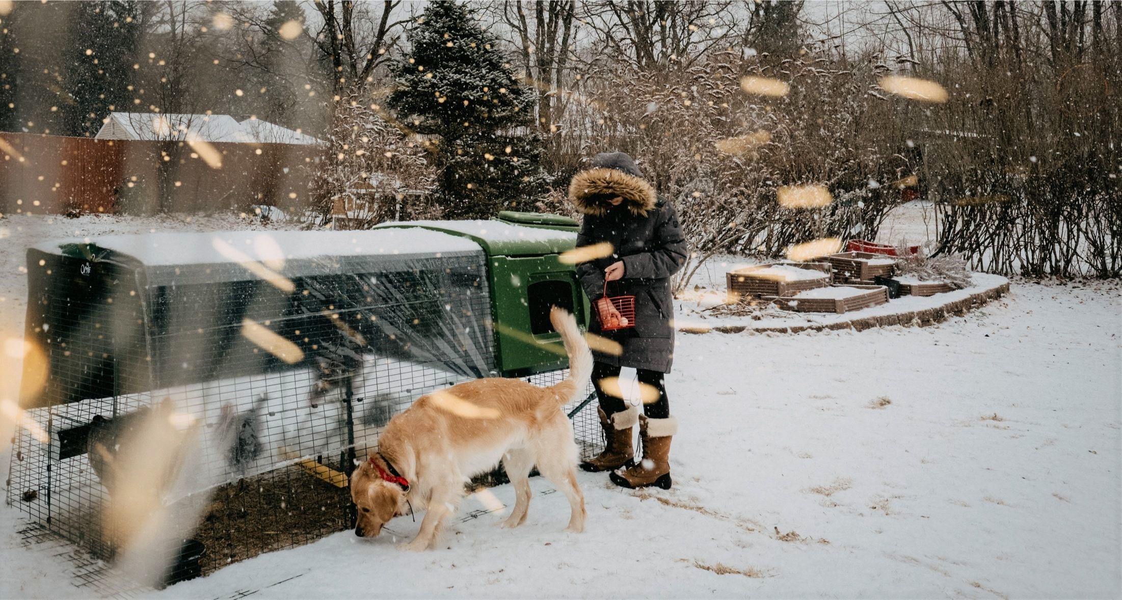 En hönsägare och hennes hund bredvid ett Eglu-hönshus i snön