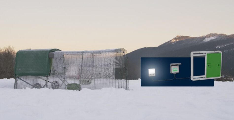 Hönshuset Eglu Cube från Omlet som står i snö och har en autodörr 