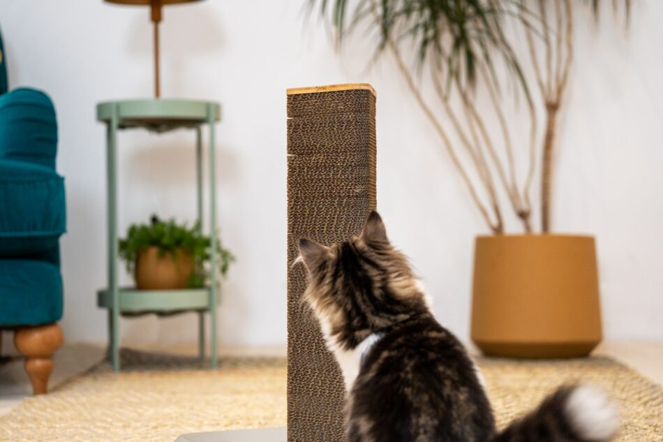 En katt i ett vardagsrum använder klösträdet Stak från Omlet 