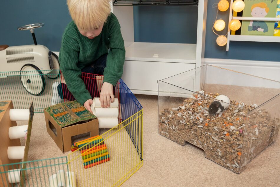 En pojke leker med sin hamster i strölådan till Qute hamsterbur  