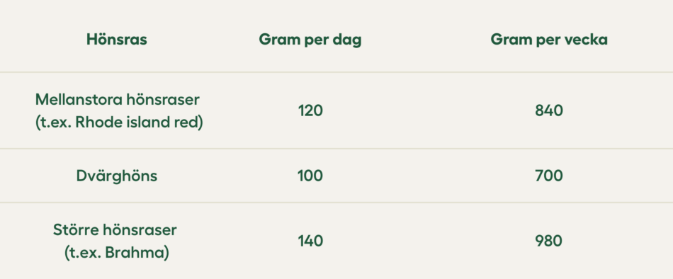 Tabell som visar hur mycket foder en höna behöver beroende på storlek