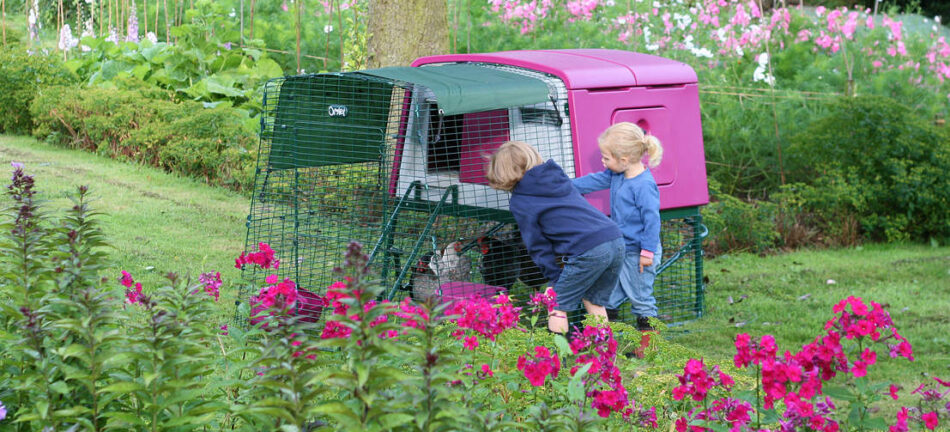 Två barn tittar på det rosa hönshuset Eglu Cube från Omlet