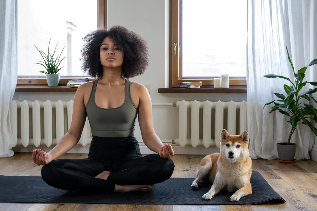 Ung Sportig Kvinna Praktisera Yoga Göra Uppåt Inför Hund Träning-foton och  fler bilder på Yoga - iStock