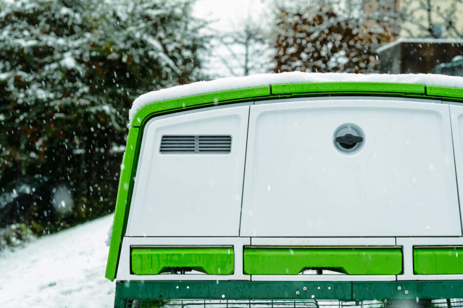 Eglu Pro i snö
