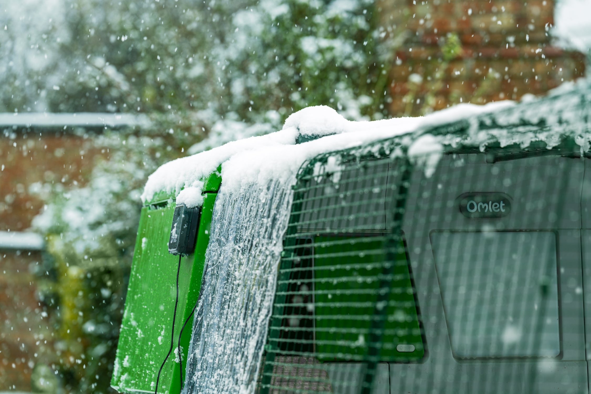 Hönshuset Eglu Pro med överdrag i en snöig trädgård