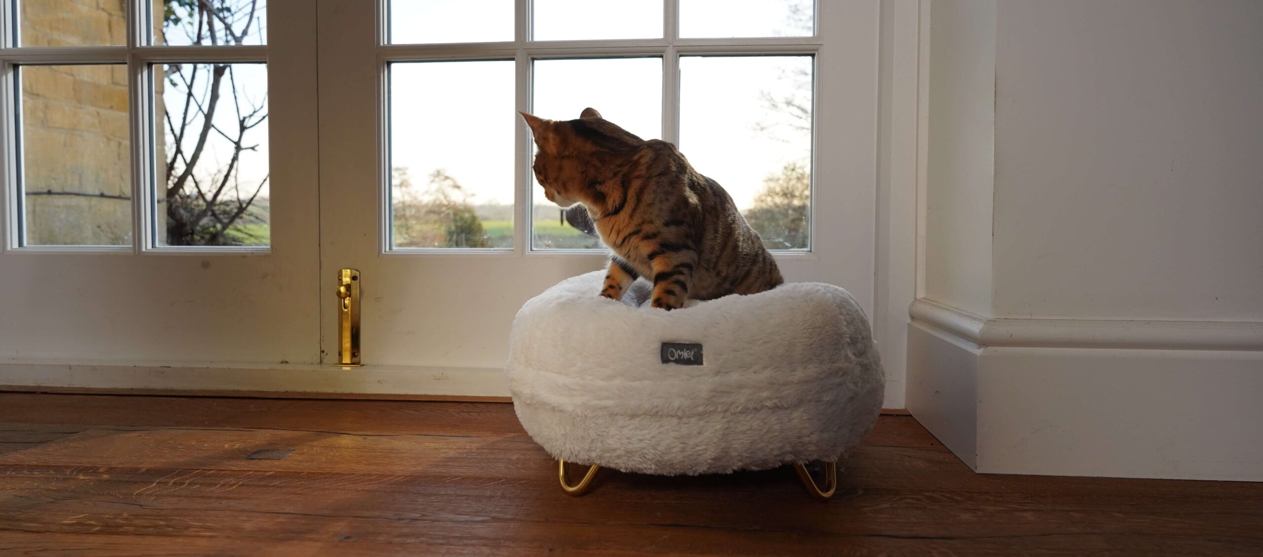 En katt sitter på kattbädden Maya Donut och tittar ut genom fönstret