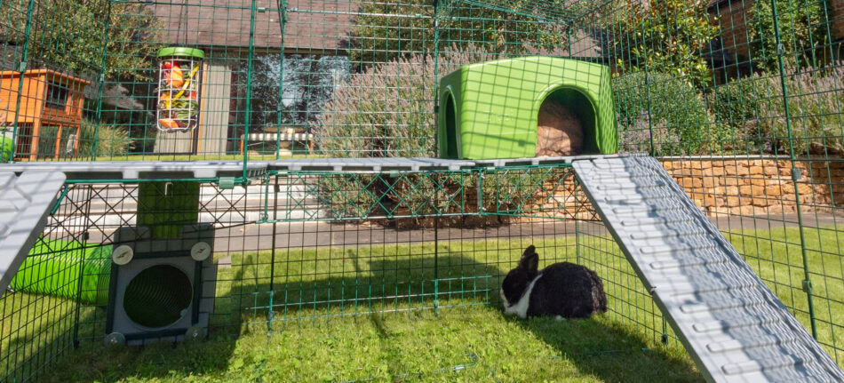 En kanin gömmer sig i ett Zippi kaningömställe med en Caddi godsaksbehållare