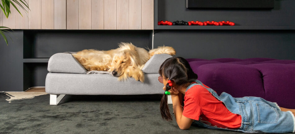 En flicka tittar på en hund som sover på hundsängen Topology från Omlet