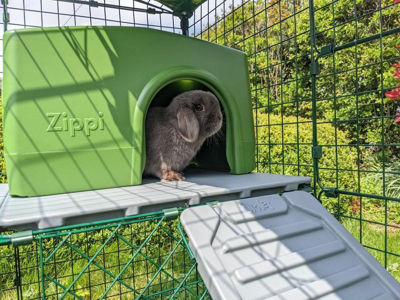 En kanin i ett grönt Zippi-gömställe på en av Omlets plattformar för kaniner