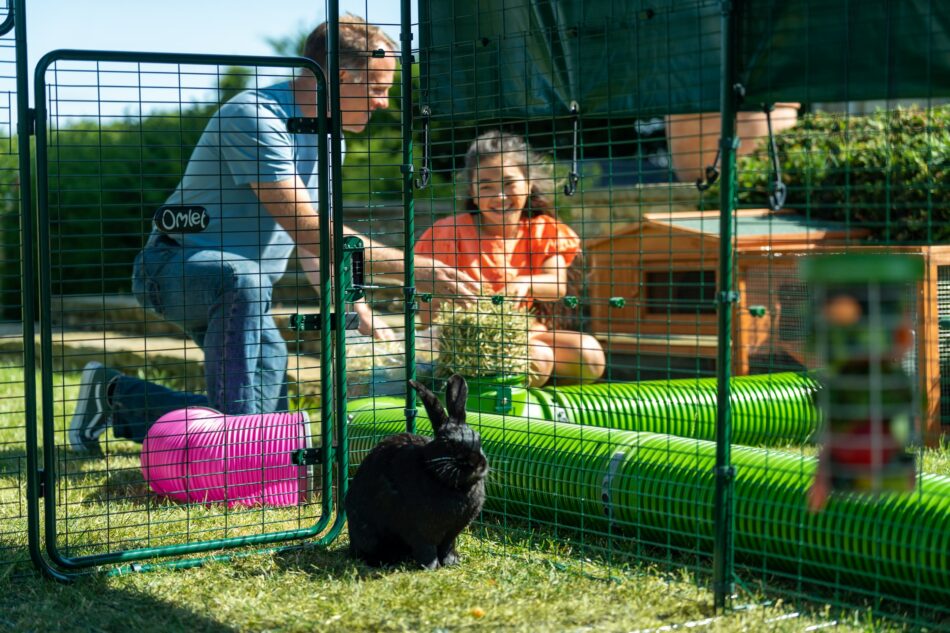 Man och flicka utomhus med kanin som använder Omlet tunnelsystem för kaniner