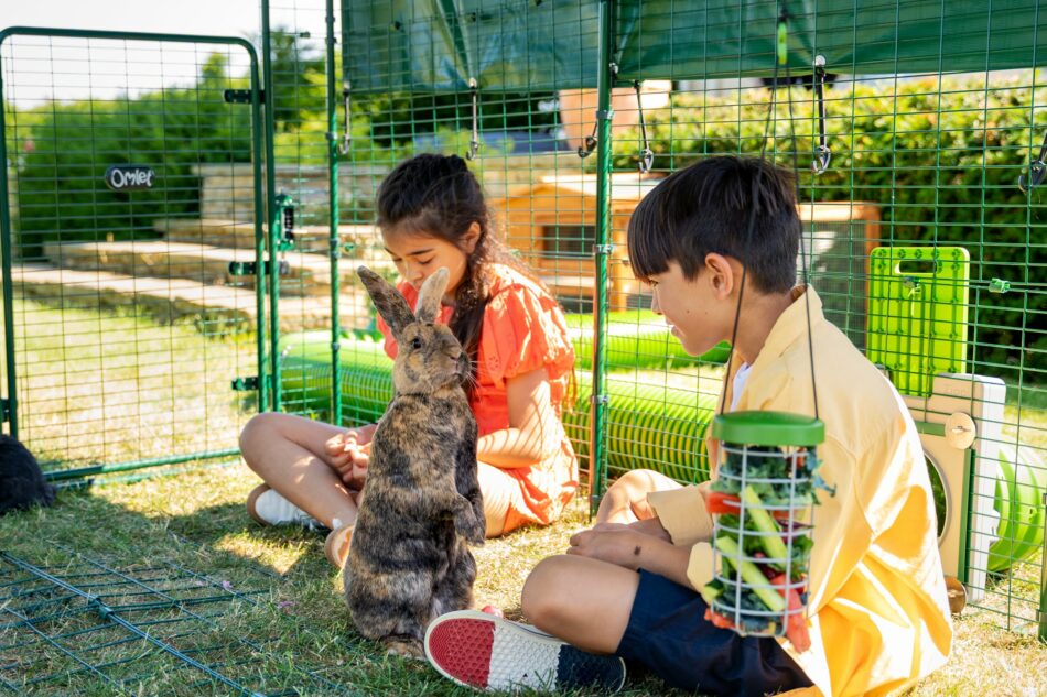 Två barn utomhus med deras kanin i Omlet kaningård för utomhusbruk 