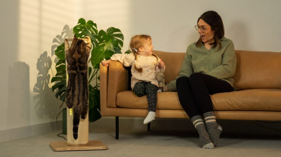 En kvinna och en flicka sitter i en soffa och tittar på en katt som leker med klösträdet Switch från Omlet 