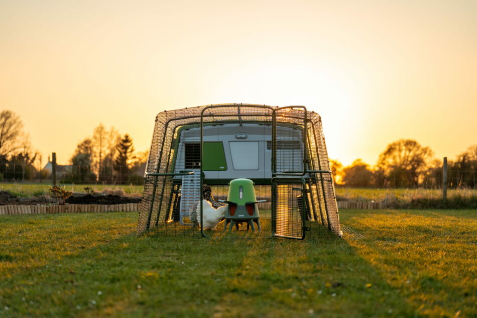 Hönshuset Eglu Pro med Omlets smarta och spillfria foderautomat i en soluppgång