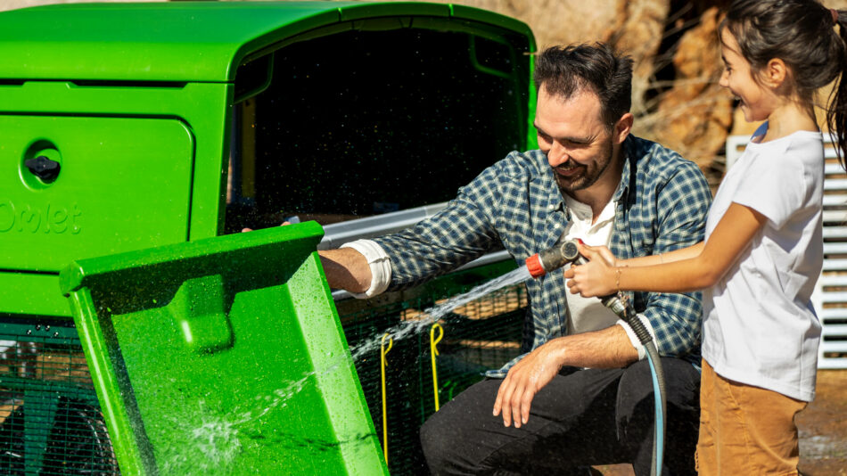 En man och en flicka rengör värpredet från en Eglu Pro med en vattenslang